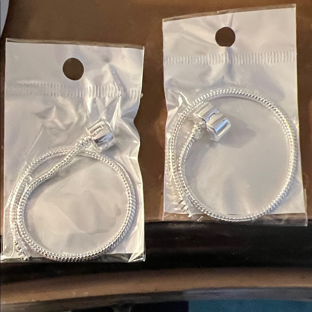 Silver Bracelet Pandora Style (1)